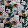 Spring Kitties Fabric Swatch