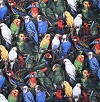 Parrots Fabric Swatch
