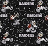Mickey Raiders Fabric Swatches