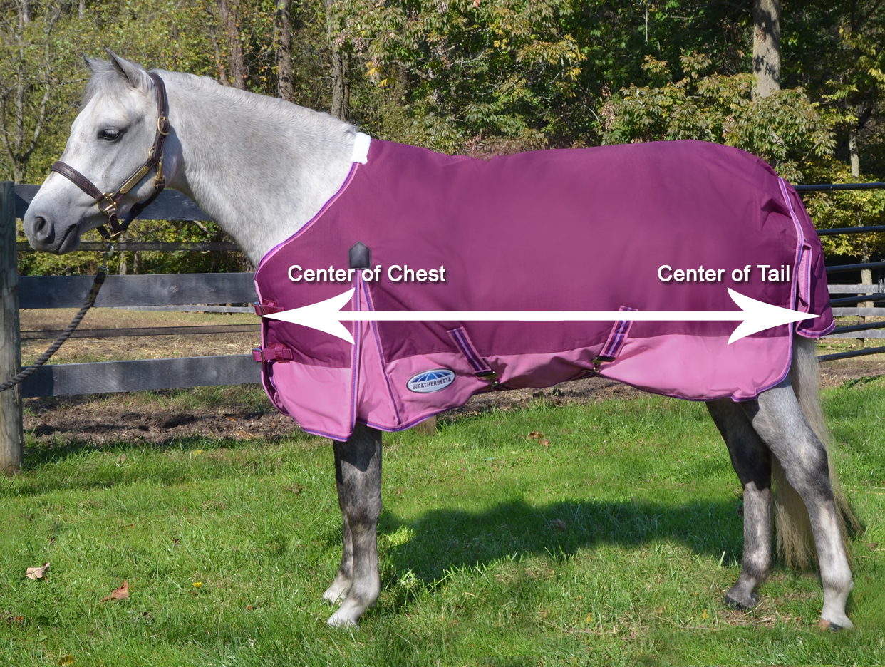 Horse Turnout Blanket Size Chart