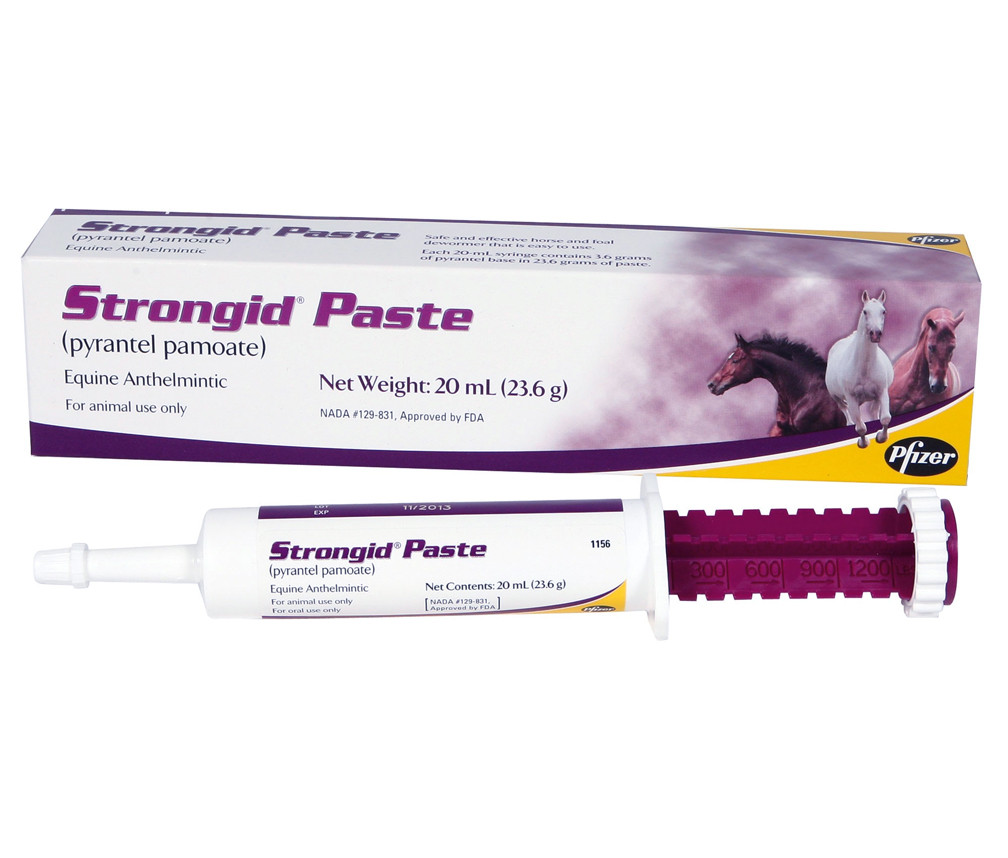 Strongid Paste Equine Dewormer