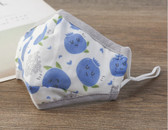 Reusable Cotton Washable Kids Face Mask Individual Sealed Blueberry