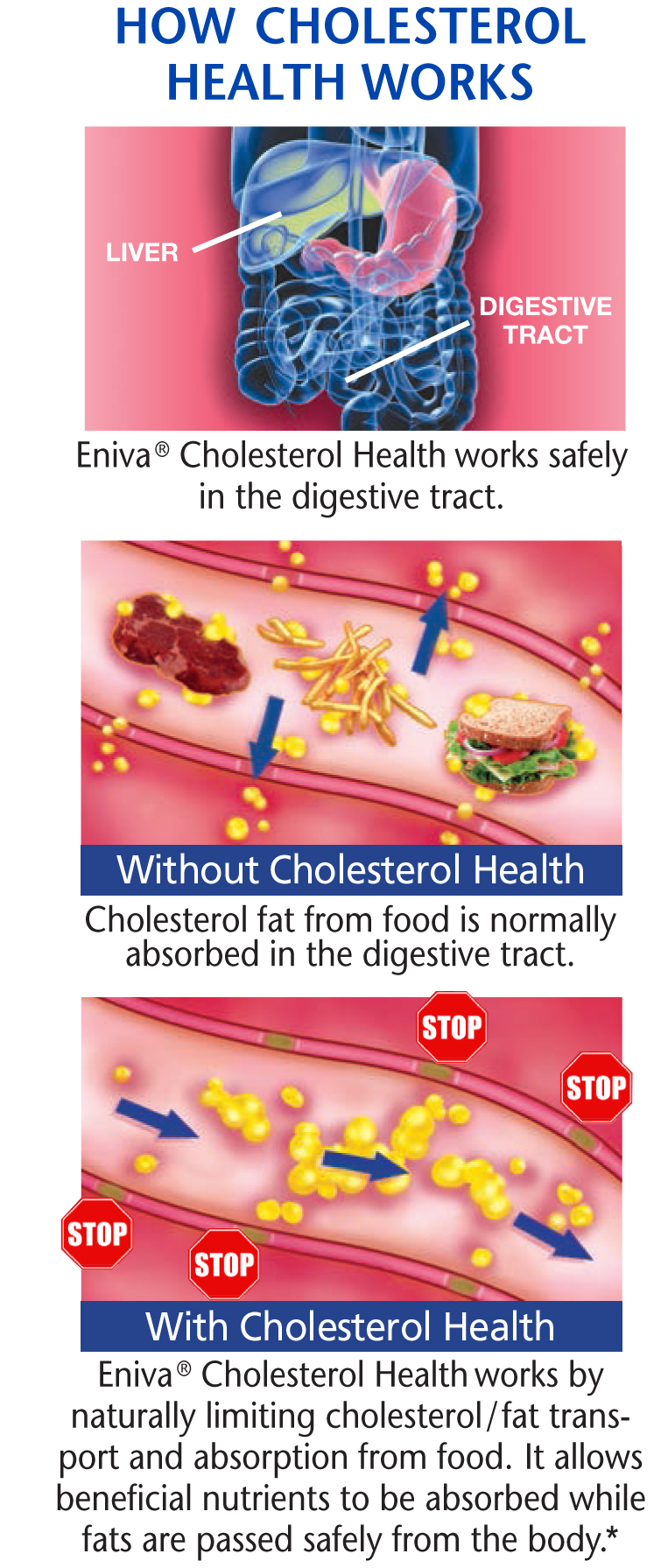Cholesterol Health Plant Phytosterols