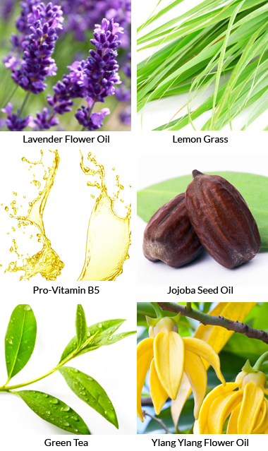Refresh Premium Natural Body Wash