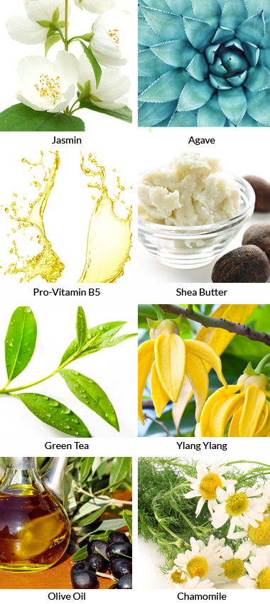 Premium Natural Conditioner