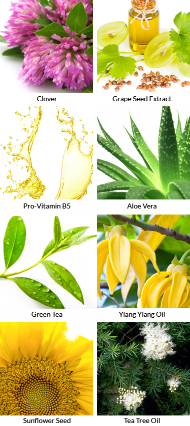 natural skin care pack ingredients natural skin care pack ingredients
