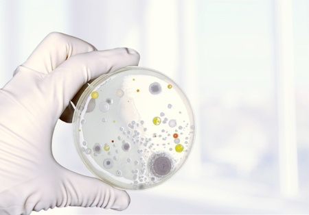 mold.jpg mold.jpg